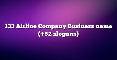 133 Airline Company Business name (+52 slogans)