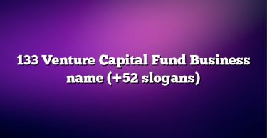 133 Venture Capital Fund Business name (+52 slogans)