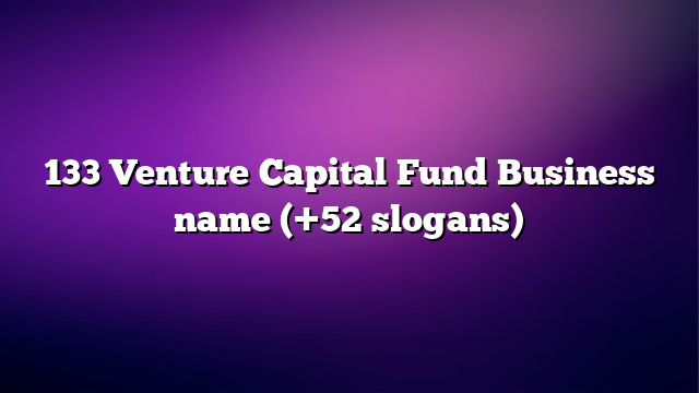 133 Venture Capital Fund Business name (+52 slogans)